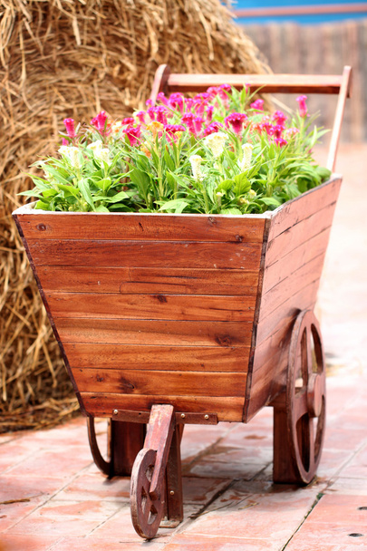 oude houten kar geplant bloemen. - Foto, afbeelding