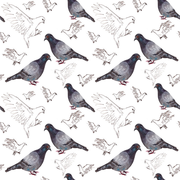 Suluboya güvercinlerinin kusursuz deseni ve doğrusal grafik siyah beyaz uçan güvercinler çiziyor. Yüksek kalite fotoğraf - Fotoğraf, Görsel