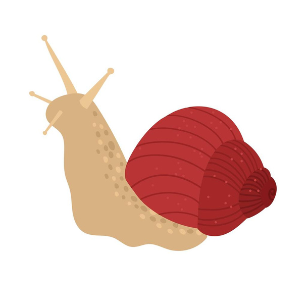 Słodki ślimak w muszli w kolorze czerwonym. Wektor ręcznie rysowane kreskówki - Wektor, obraz