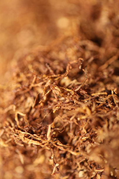 Rolling tabak bladeren close-up achtergrond stock fotografie hoge kwaliteit groot formaat afdrukken - Foto, afbeelding