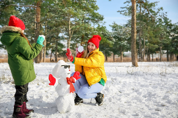 Familia feliz jugando bolas de nieve en el parque - Foto, imagen