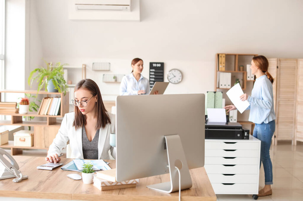 Жінки бухгалтерів, що працюють в офісі
 - Фото, зображення