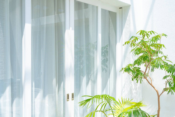Veranda plantas y cortinas blancas en buen día - Foto, imagen