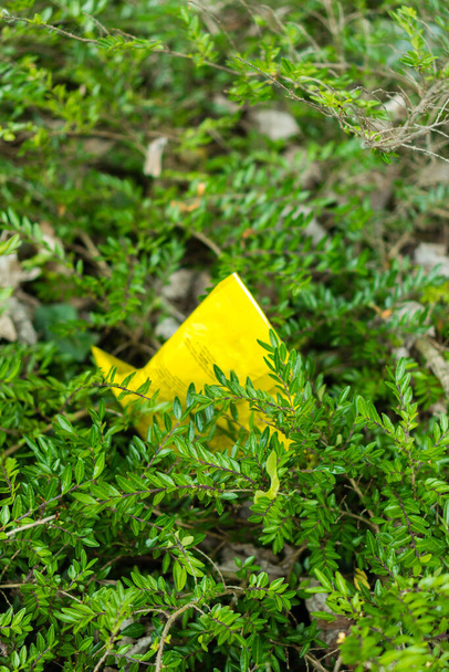 A vertical shot of a yellow paper piece in the grass - 写真・画像