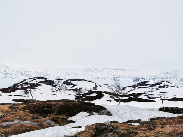 A beautiful landscape of the Kjelavatn lake in Norway during the winter - 写真・画像