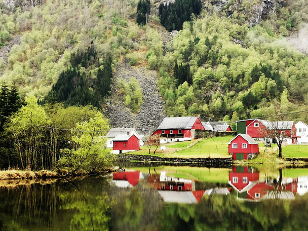 A beautiful landscape with red cottages by the lake in Norway - Fotoğraf, Görsel