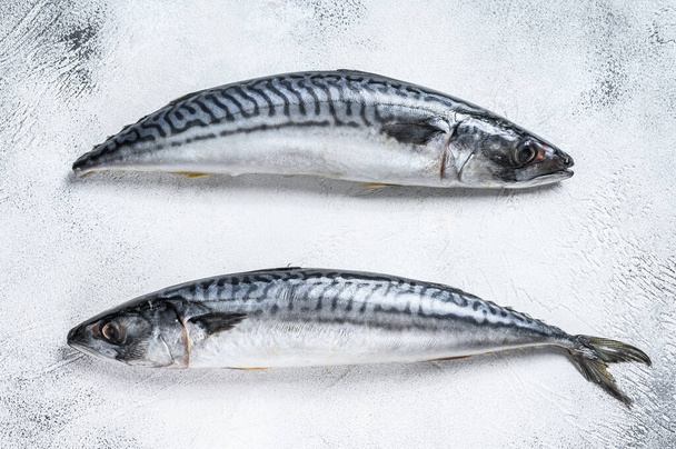 Raw fish Mackerel on a kitchen table. White background. Top view - Zdjęcie, obraz