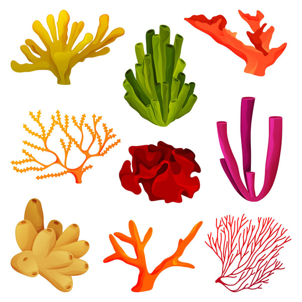 Corals or coral reef elements, underwater wildlife - Vektori, kuva