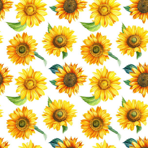 Floral Seamless pattern. Flowers sunflowers on a white background, hand-drawn. Watercolor illustration - Photo, Image