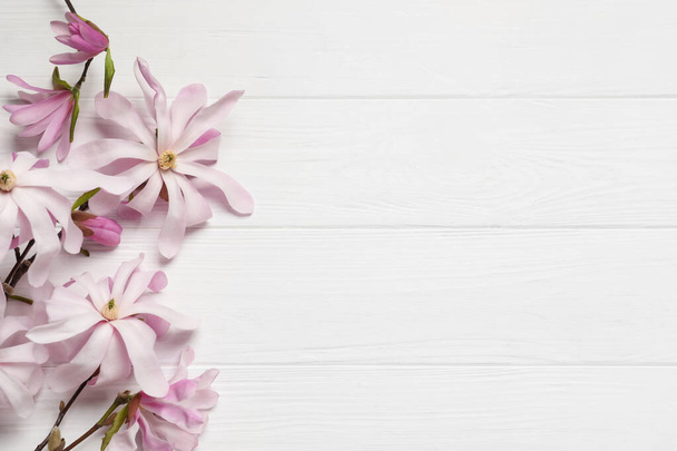 Magnolia tree branches with beautiful flowers on white wooden table, flat lay. Space for text - Fotoğraf, Görsel