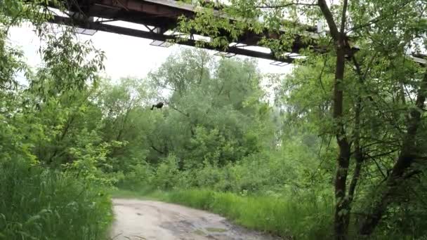 Egy férfi veszélyes bungee ugrást hajt végre egy 2021-es hídról. - Felvétel, videó