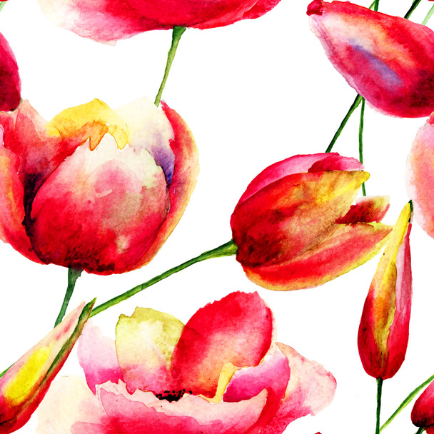 Stylized Tulips and Poppy flowers illustration - Photo, image
