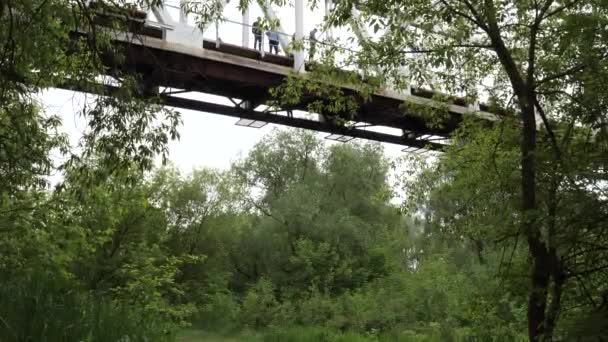 橋から危険なバンジージャンプを2021年までに - 映像、動画