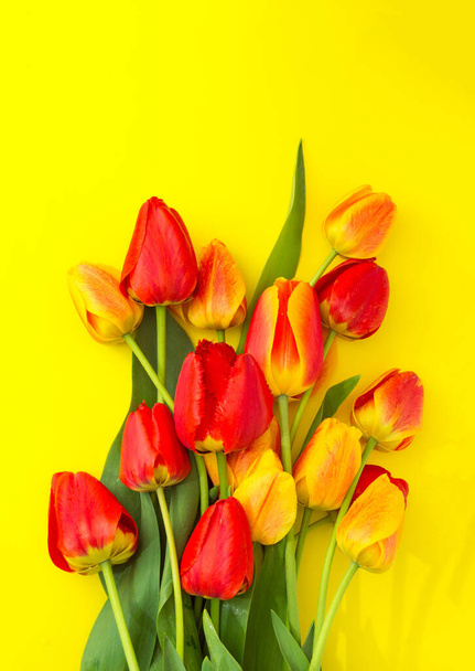黄色の背景にオレンジと赤のチューリップの花束。トップポイントからの眺め - 写真・画像