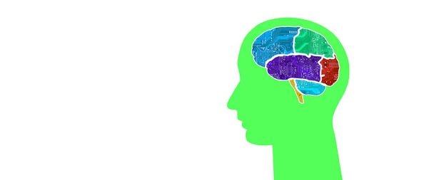 panorama de una cabeza con un cerebro multicolor hecho de microcircuitos sobre un fondo multicolor - Foto, imagen