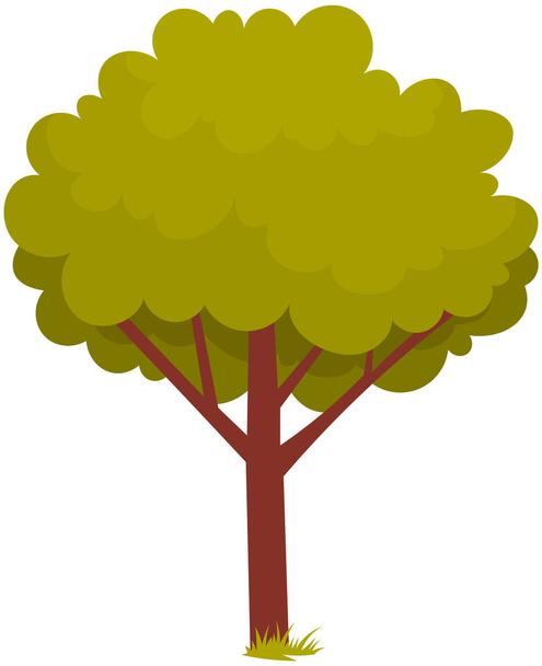 Deciduous tree with trunk and dense foliage. High plant with widely spread branches and green leaves - Vector, imagen