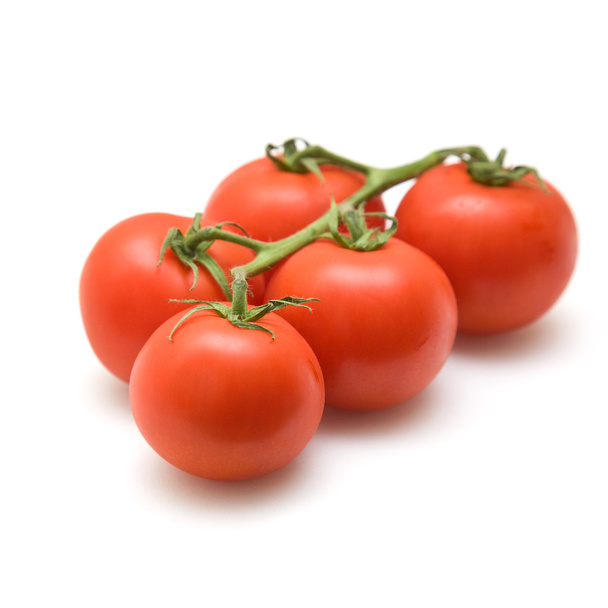 Tomatoes on the vine on white background - 写真・画像
