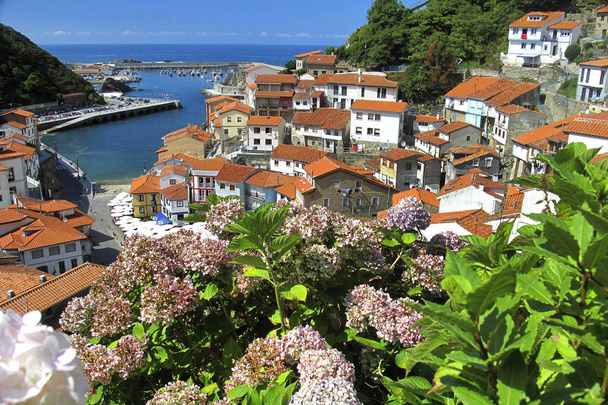 Cudillero Fishing Town, Cudillero, Asturias, Španělsko, Evropa - Fotografie, Obrázek