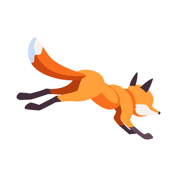 Cartoon Fox runs away from the viewer. Vector illustration isolated on white background - Vektor, obrázek