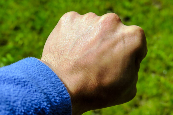 Hand and fist on a background of green grass - Photo, Image