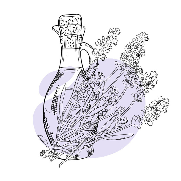 Sprig levendula kézzel rajzolt vázlat. Levendula illóolajat tartalmazó üveg. Kozmetikai, parfüm- és orvosi növény. Vektor illusztráció. Használható kozmetikumokhoz, prospektusokhoz, transzparensekhez, címkékhez.. - Vektor, kép