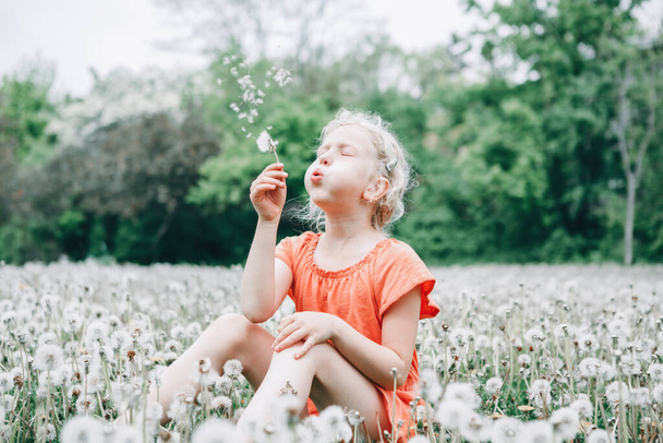 Kívánj valamit. A fehér lány pitypangvirágot fúj. A kölyök a fűben ül a réten. Szabadtéri szórakoztató nyári szezonális gyermek tevékenység. A gyerek kint szórakozik. Boldog gyermekkort!. - Fotó, kép