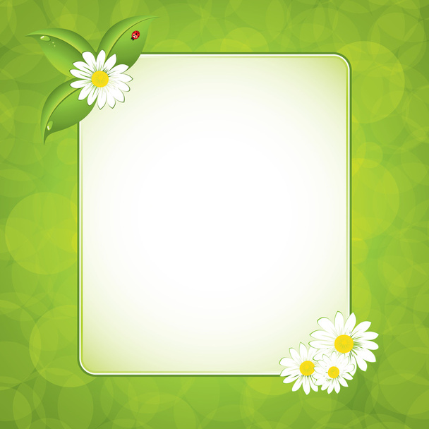 Green eco frame - Vetor, Imagem