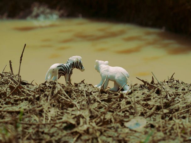 Cebra y bebé oso juguete de pie juntos cerca de fuente de agua sucia sucia - Foto, imagen