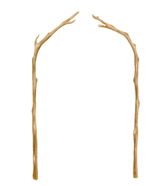 Arco de boda de madera acuarela. Ramas de árboles desnudos dibujadas a mano aisladas en blanco. Decoración de ramitas de madera, diseño natural rústico, ilustración de decoración ecológica - Foto, Imagen