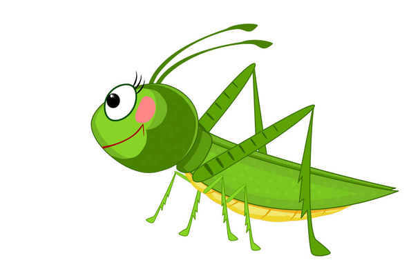 Sarjakuva heinäsirkka eristetty valkoisella taustalla. Söpö vihreä krikettihahmo. Hyönteismaskotti. Ihana ötökkäikoni. Ötökkäkuvake. Ystävällinen kuoriainen. Luonnon symboli, kevät, kesä. Varastojen vektorien havainnollistaminen - Vektori, kuva