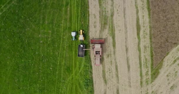 Agriculture Harvester Harvesting Field Aerial View - Footage, Video