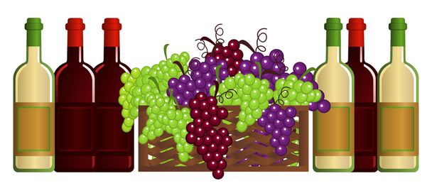 Illustration avec du vin et des fruits sur fond blanc
 - Vecteur, image