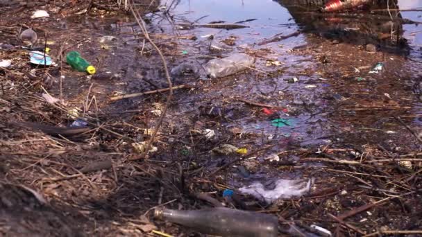 Botellas de plástico en un río contaminado. Vista aérea, vista del dron - Imágenes, Vídeo