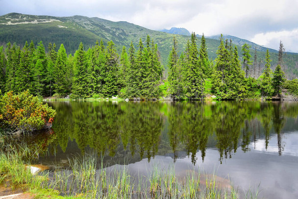 High Tatra Dağları 'ndaki Jamske Gölü' nde. Dağ ve ağaçlar göle yansıyor. Slovakya. - Fotoğraf, Görsel