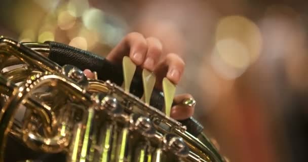 Músico tocando trompa francesa durante o concerto - Filmagem, Vídeo