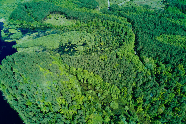 Zöld nyári erdő háttér, légi kilátás. Természet táj - Fotó, kép