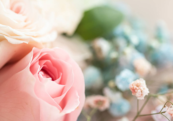 Квітка троянди в саду, квіткова краса і ботанічний фон для весільних запрошень і вітальних листівок, концепція природи і навколишнього середовища
 - Фото, зображення