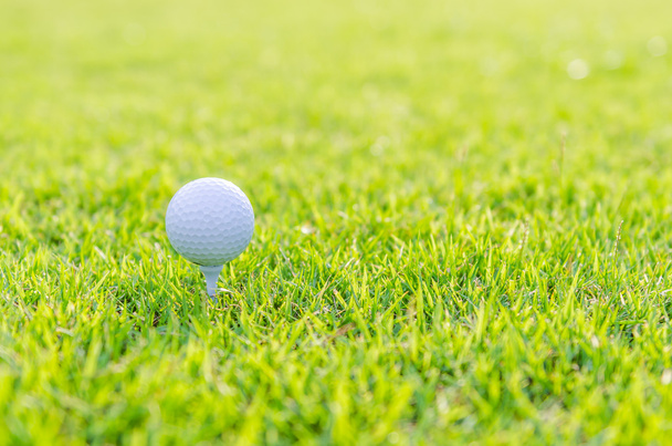 Гольф м'яч на траві
 - Фото, зображення