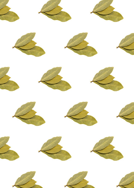 macro photo of bay leaves on a white background - Foto, afbeelding
