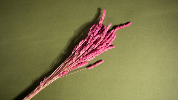 t όμορφο φθινοπωρινό μπουκέτο από αποξηραμένα ροζ λουλούδια - Φωτογραφία, εικόνα