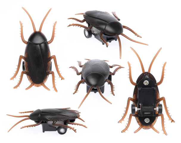 Collection of Toy Cockroaches isolated on white background. - Photo, Image