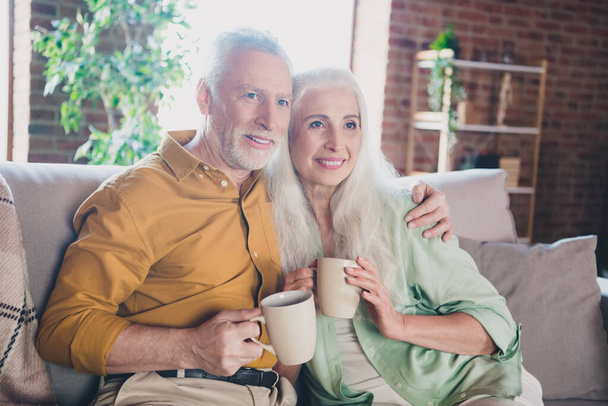 Portrait of attractive affectionate cheerful grey-haired couple sitting on sofa hugging drinking beverage at home brick loft interior house indoor - Fotó, kép