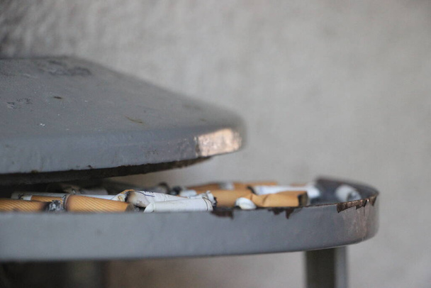cigaretta bimbók közeli kilátás   - Fotó, kép