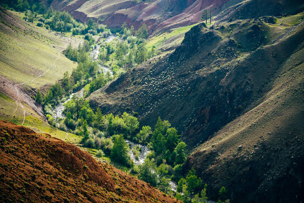 Bellissimo fiume di montagna e alberi verdi a valle tra colline di argilla multicolore. Paesaggio paesaggistico con torrente di montagna in canyon colorato e vivaci montagne multicolore. Pittoresco paesaggio montano - Foto, immagini