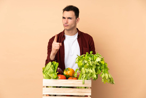 Landwirt mit frisch gepflücktem Gemüse in einer Box isoliert auf beigem Hintergrund frustriert und zeigt nach vorne - Foto, Bild