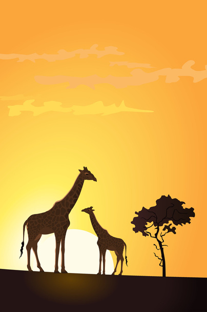 Két zsiráf illusztrációja a naplementében - Vektor, kép