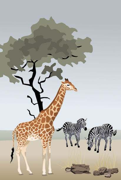 zsiráf és zebra - Vektor, kép