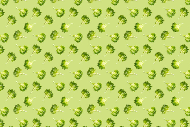 pop art fundo de salada de folhas de alface verde. salada frillice isolado em verde. iceberg folha de salada flat lay - Foto, Imagem
