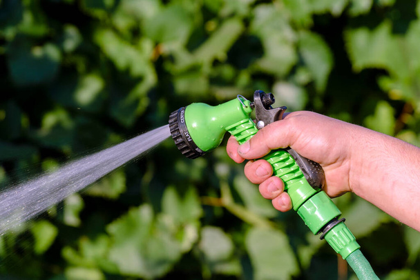 Watering or irrigating plants with a hose through a water spray nozzle in the hand of a person. - Photo, Image