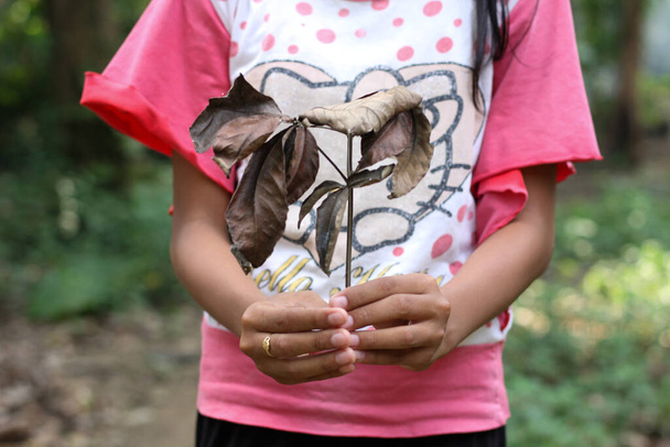 Chidren Hand with dead tree, koncepcja pielęgnacji przyrody - Zdjęcie, obraz